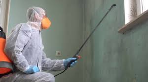 Best Black Mold Removal  in Rainbow Lakes, NJ