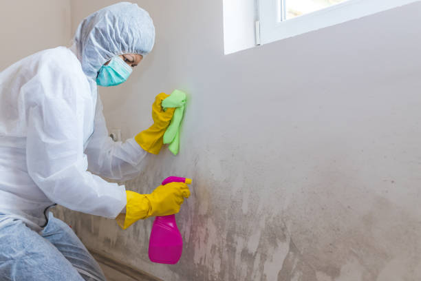 Best Biohazard Mold Removal  in Rainbow Lakes, NJ