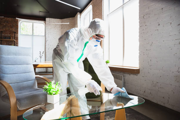 Best Comprehensive Air Testing for Mold Contaminants  in Rainbow Lakes, NJ